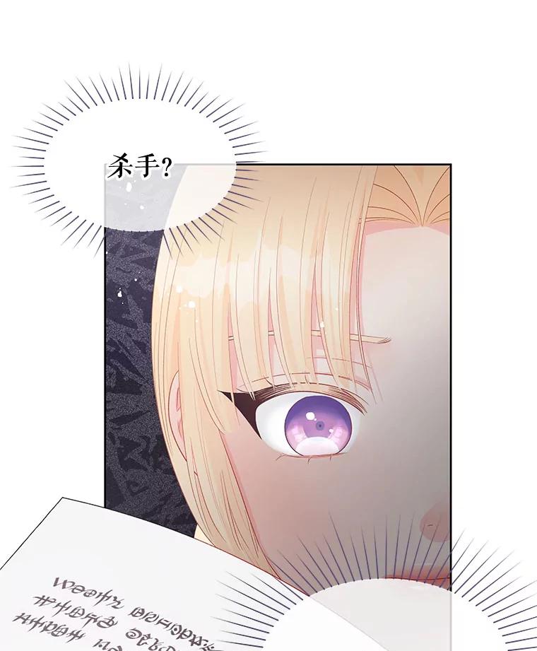 《不要相信那本日记》49.杀手 第29页