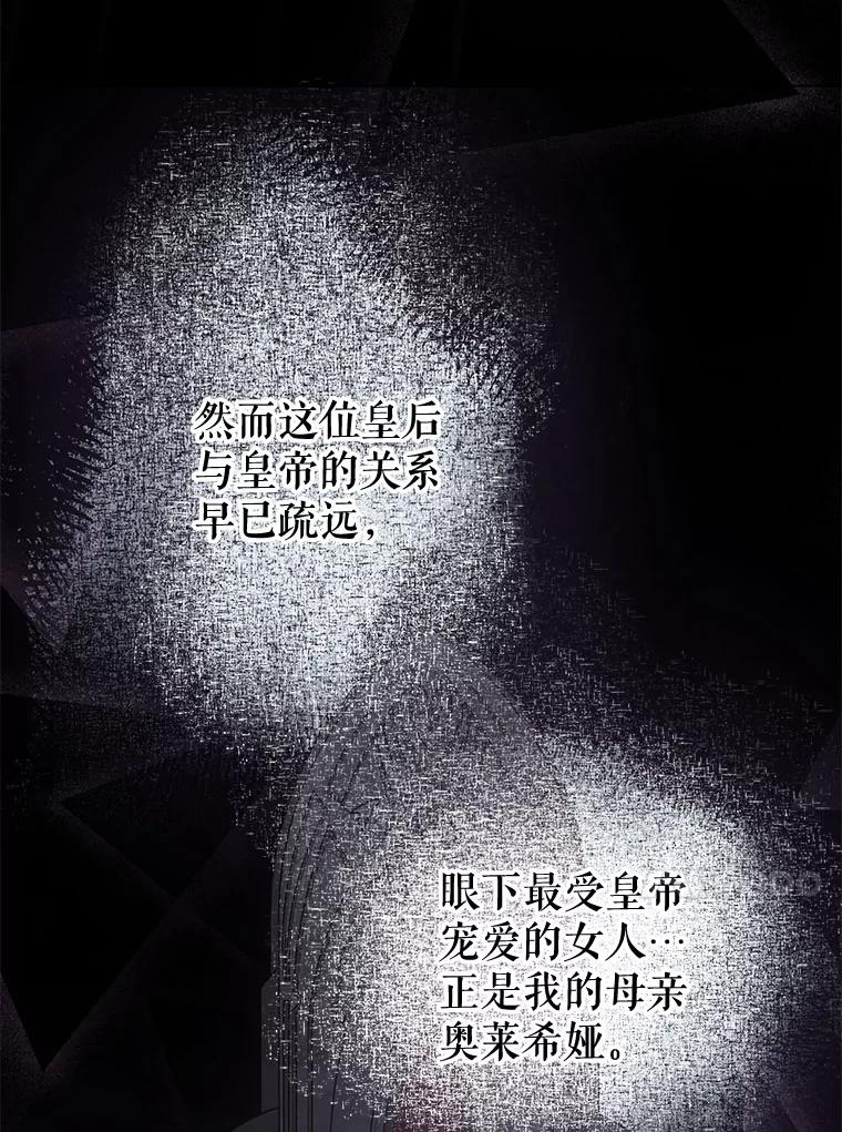 《不要相信那本日记》53.搭档 第10页