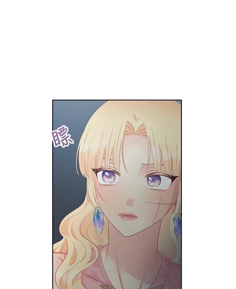 《不要相信那本日记》58.皇太子的印记 第69页