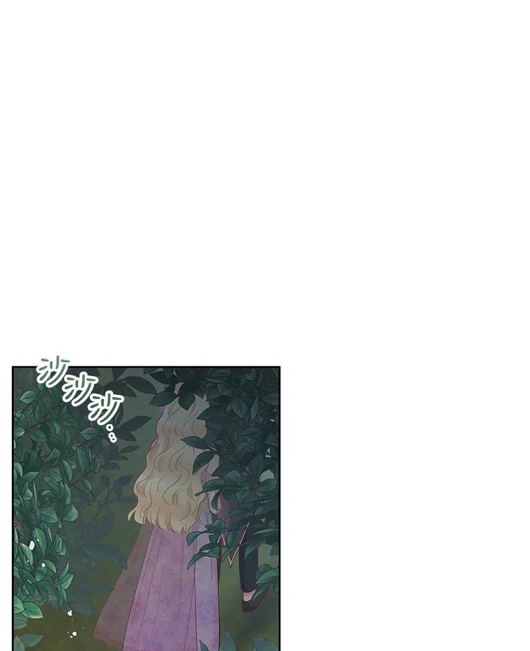《不要相信那本日记》58.皇太子的印记 第71页