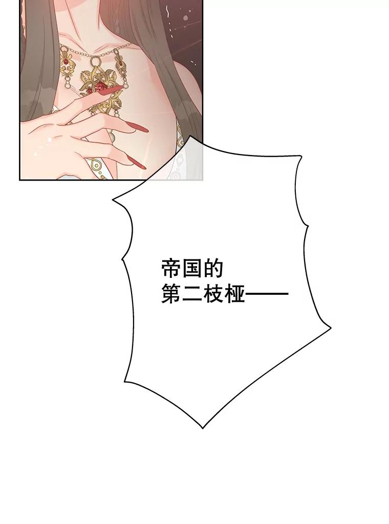 《不要相信那本日记》58.皇太子的印记 第47页