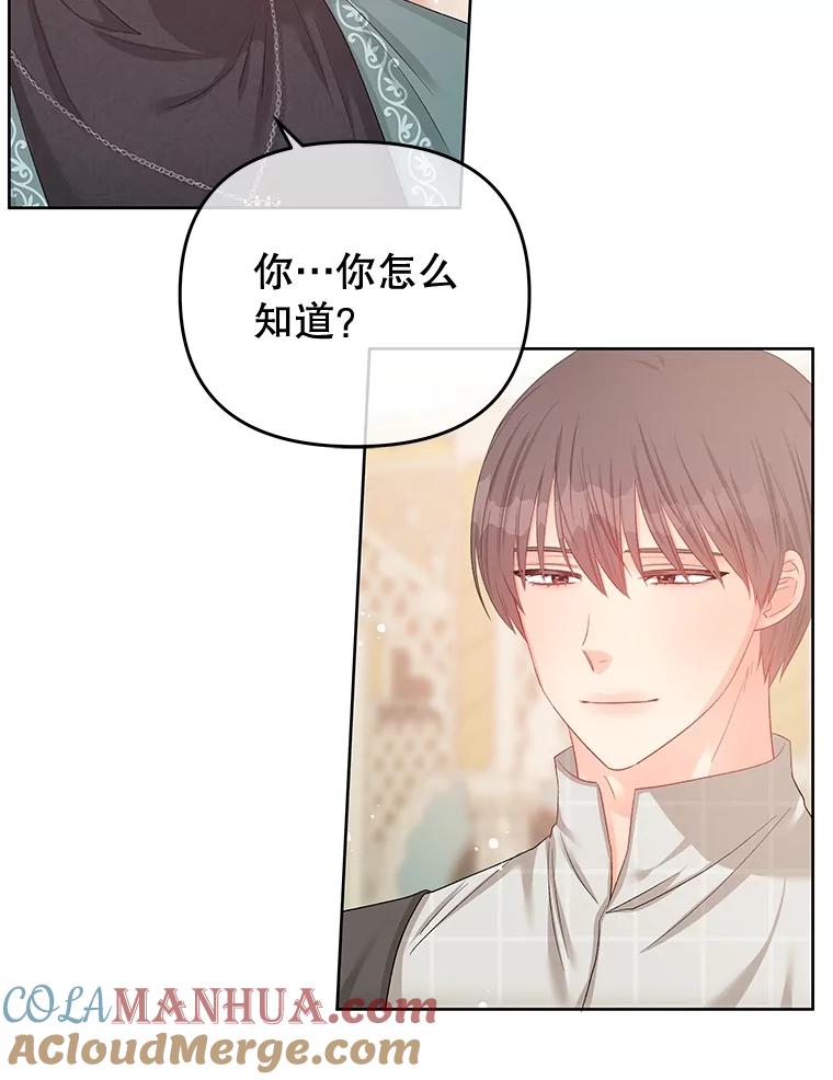 《不要相信那本日记》60.利用的棋子 第28页