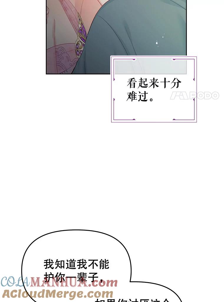 《不要相信那本日记》61.皇兄的庇护 第28页