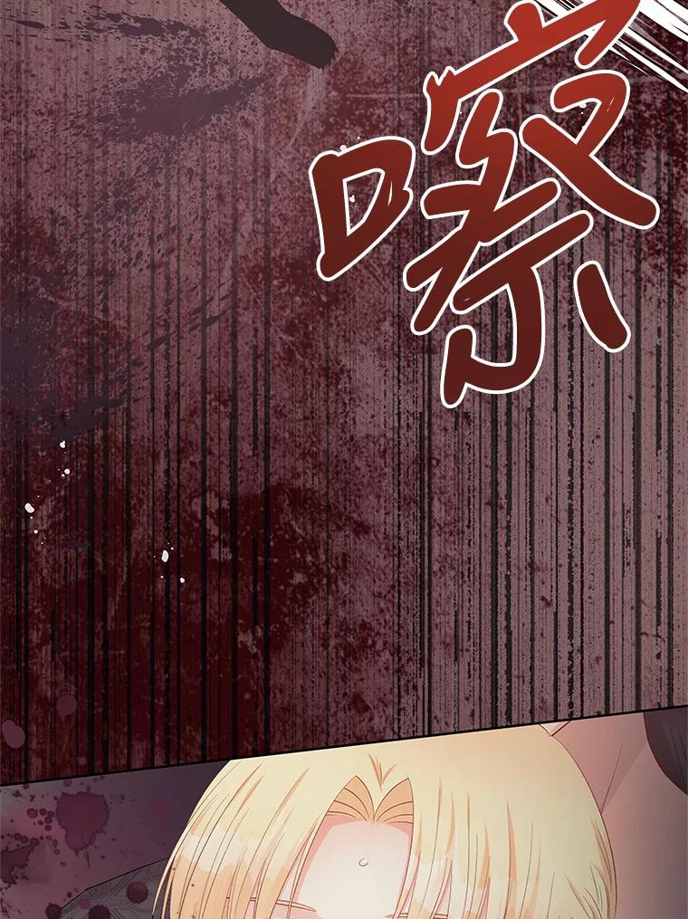 《不要相信那本日记》61.皇兄的庇护 第86页
