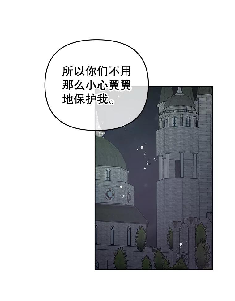 《不要相信那本日记》61.皇兄的庇护 第39页
