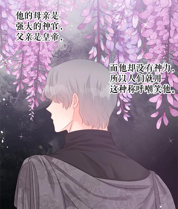 《不要相信那本日记》61.皇兄的庇护 第11页