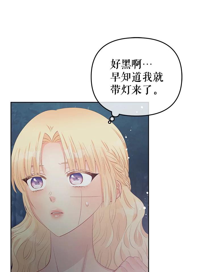《不要相信那本日记》61.皇兄的庇护 第68页