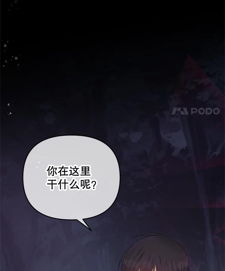 《不要相信那本日记》61.皇兄的庇护 第90页