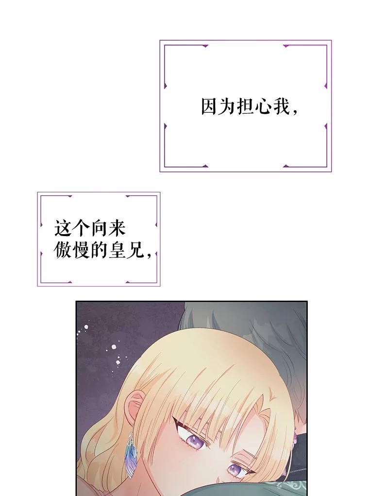 《不要相信那本日记》61.皇兄的庇护 第27页