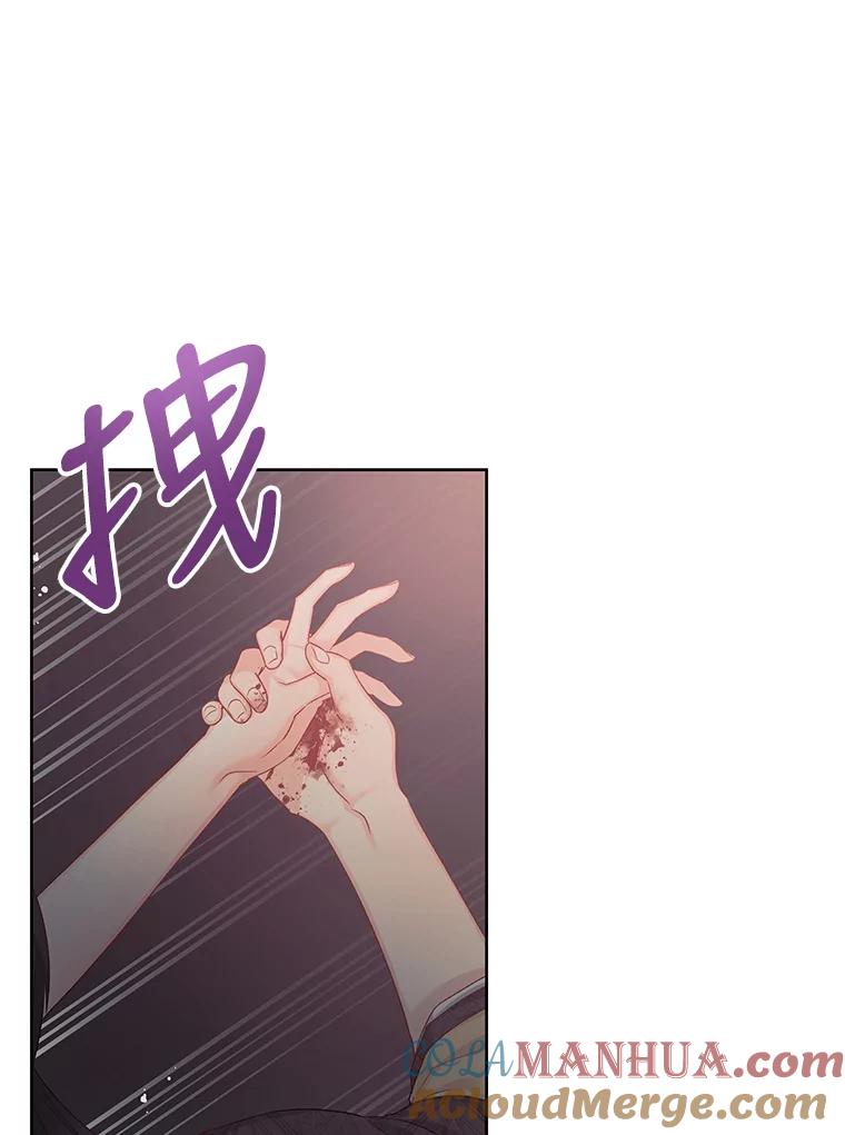 《不要相信那本日记》62.禁林散步 第48页