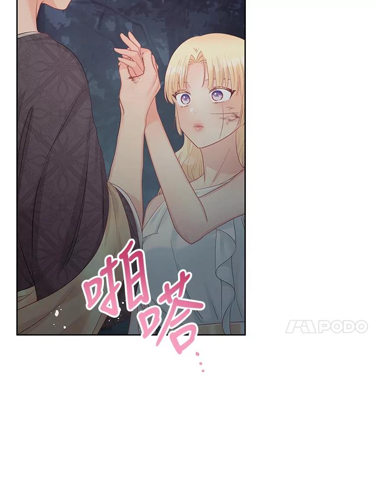 《不要相信那本日记》62.禁林散步 第56页