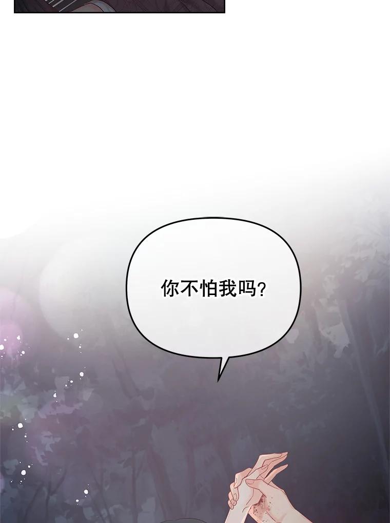 《不要相信那本日记》62.禁林散步 第49页