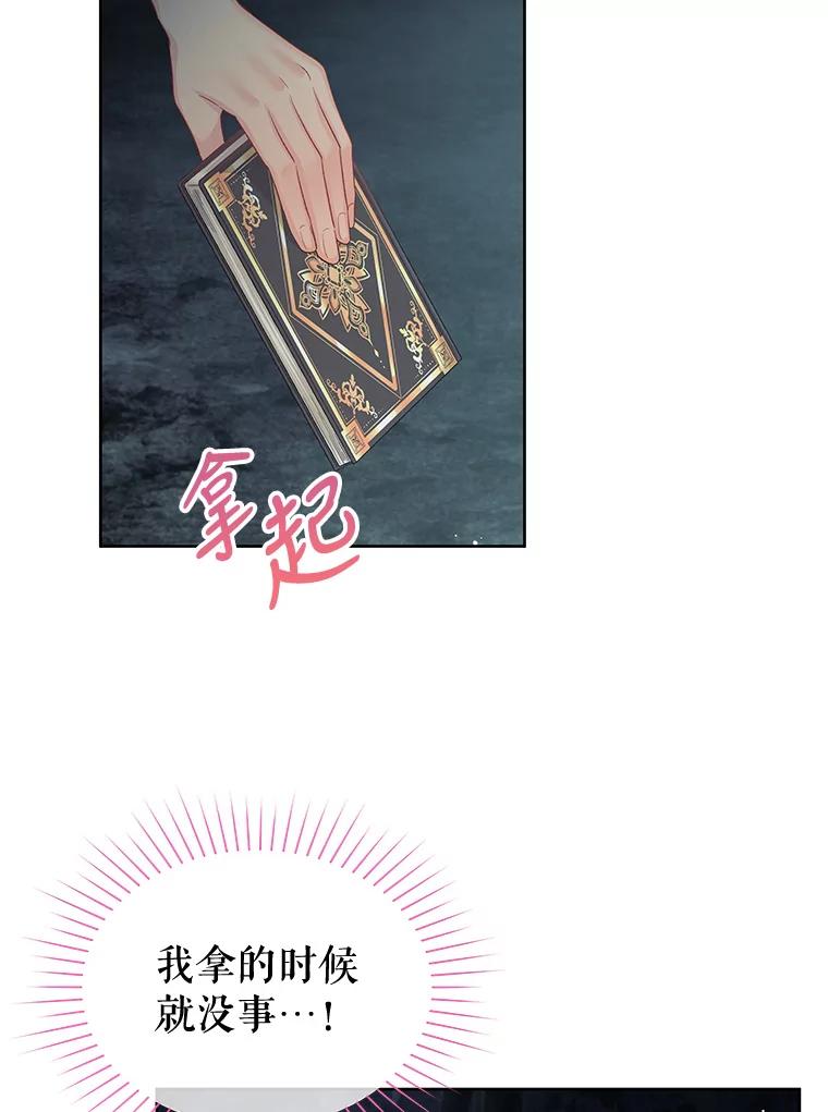 《不要相信那本日记》62.禁林散步 第71页
