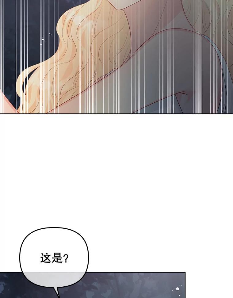 《不要相信那本日记》62.禁林散步 第59页