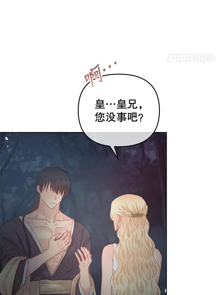《不要相信那本日记》62.禁林散步 第76页