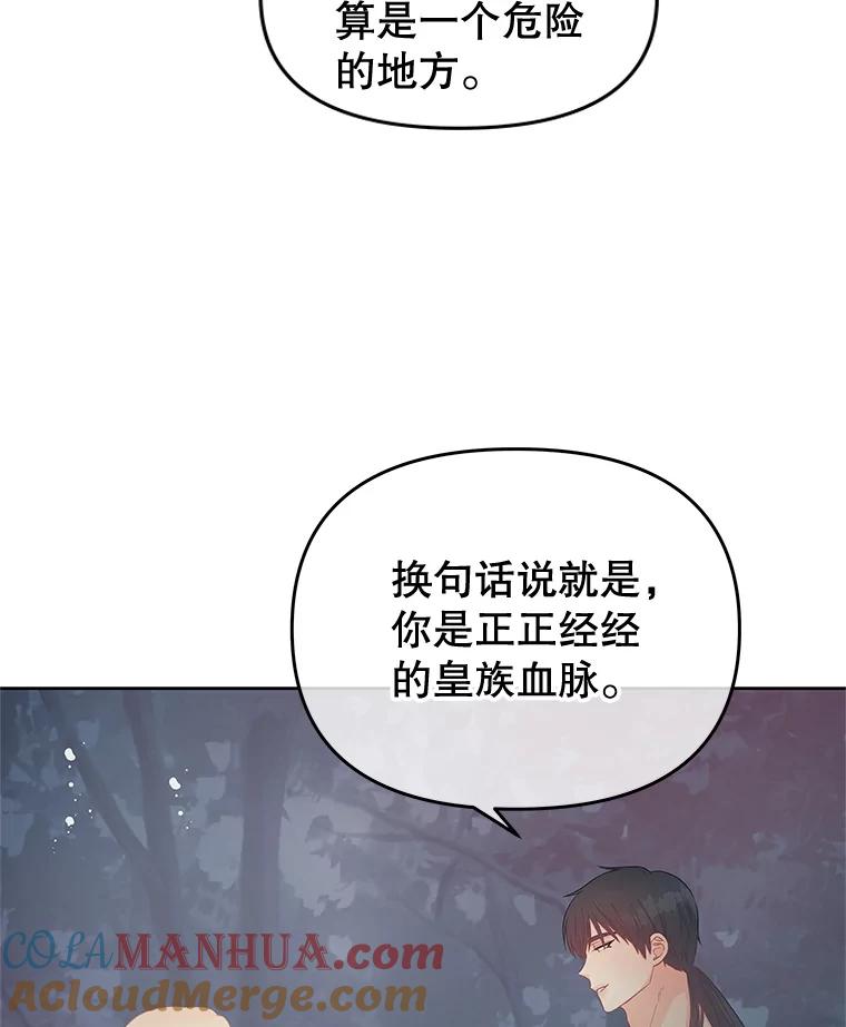《不要相信那本日记》62.禁林散步 第24页