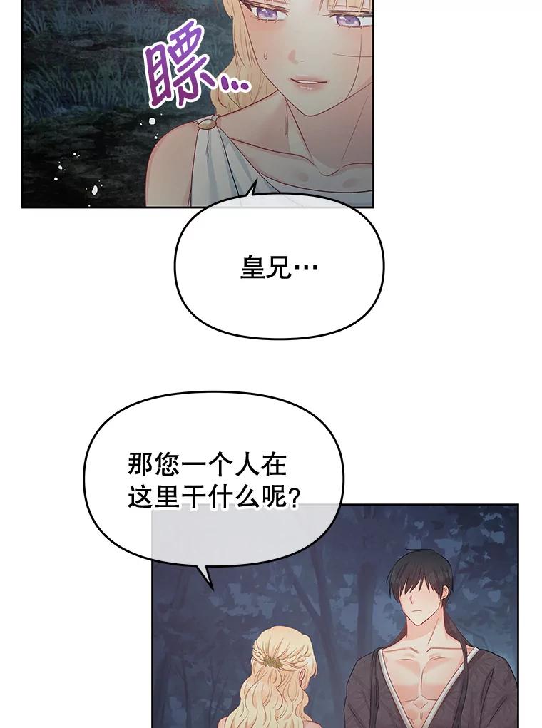 《不要相信那本日记》62.禁林散步 第11页