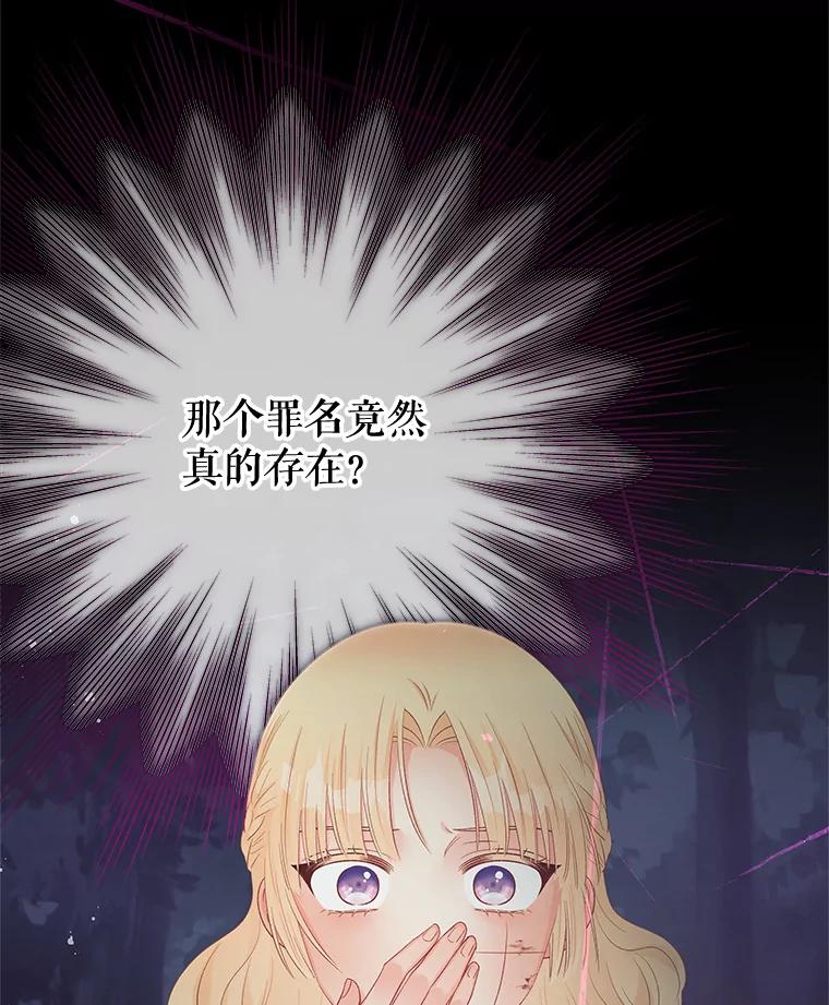 《不要相信那本日记》62.禁林散步 第91页