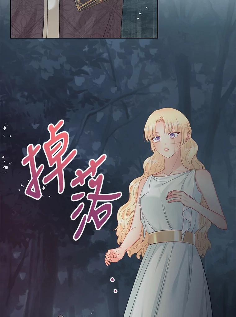 《不要相信那本日记》62.禁林散步 第68页