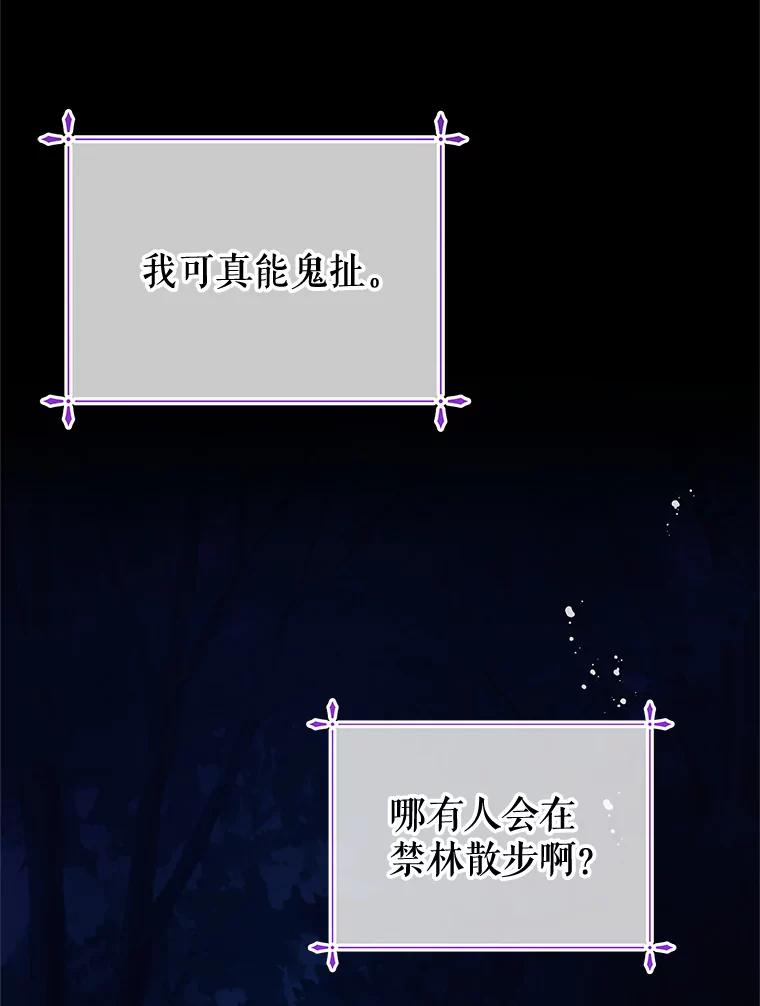 《不要相信那本日记》62.禁林散步 第7页