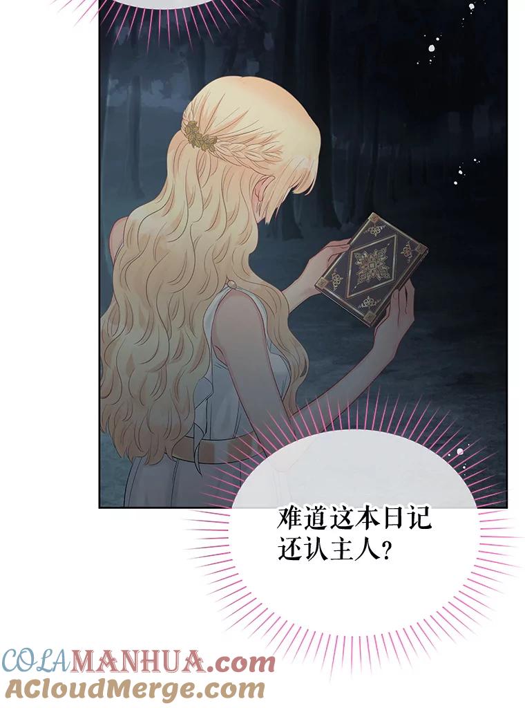 《不要相信那本日记》62.禁林散步 第72页