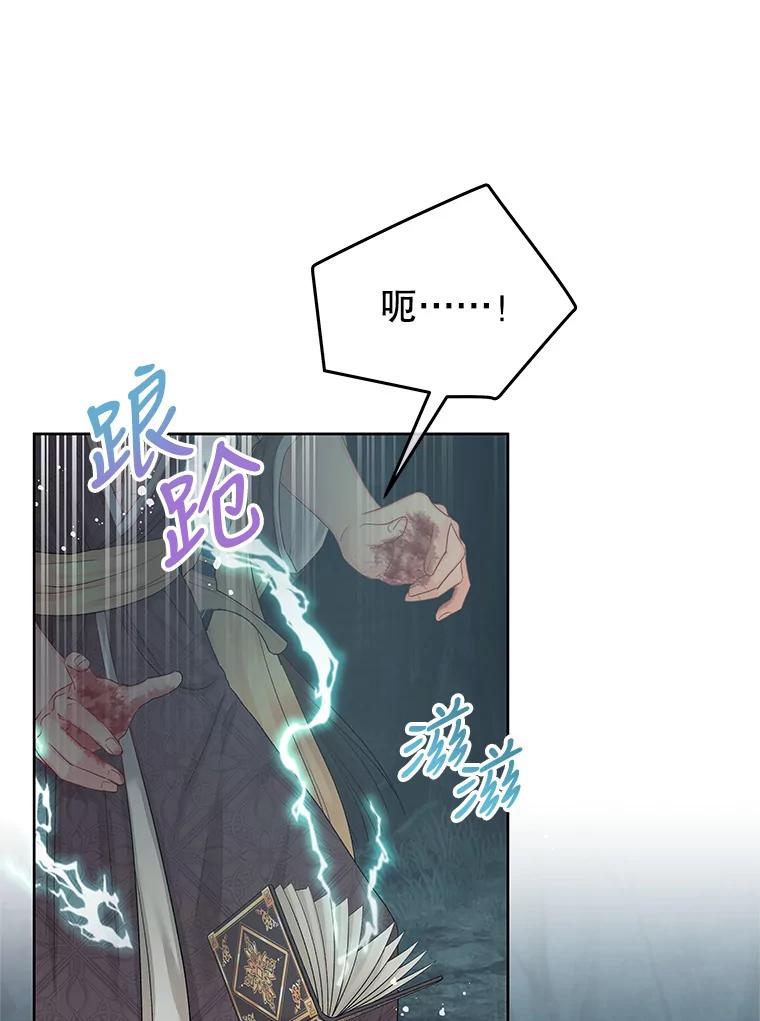 《不要相信那本日记》62.禁林散步 第67页