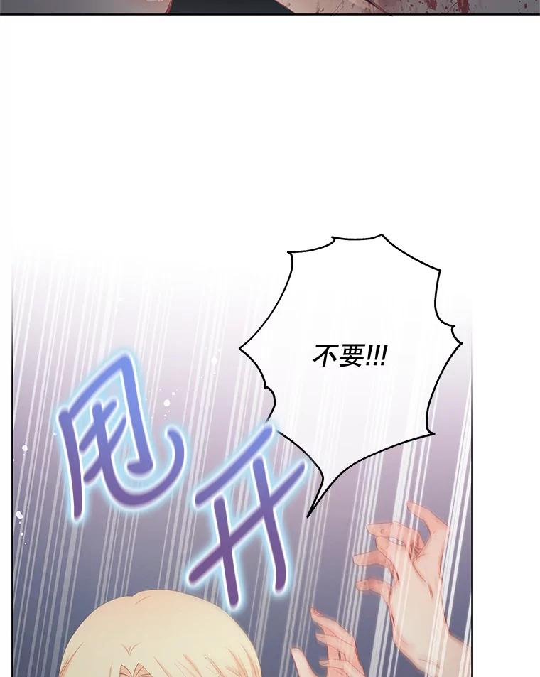 《不要相信那本日记》62.禁林散步 第32页