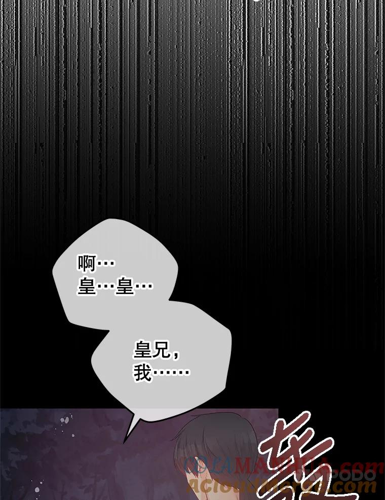 《不要相信那本日记》62.禁林散步 第39页