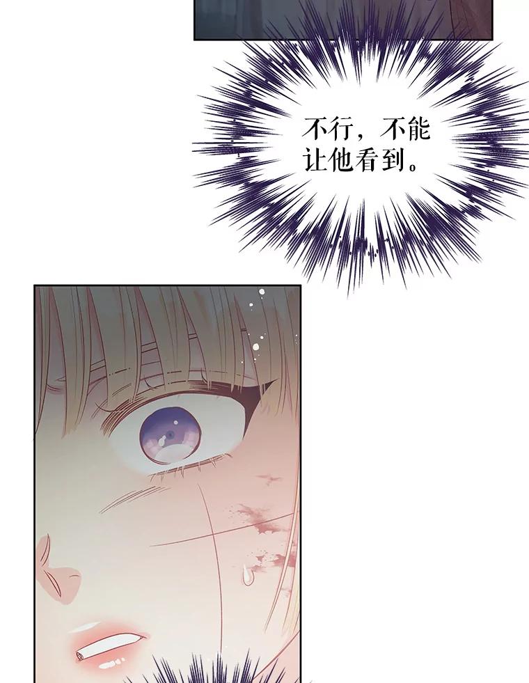 《不要相信那本日记》62.禁林散步 第62页