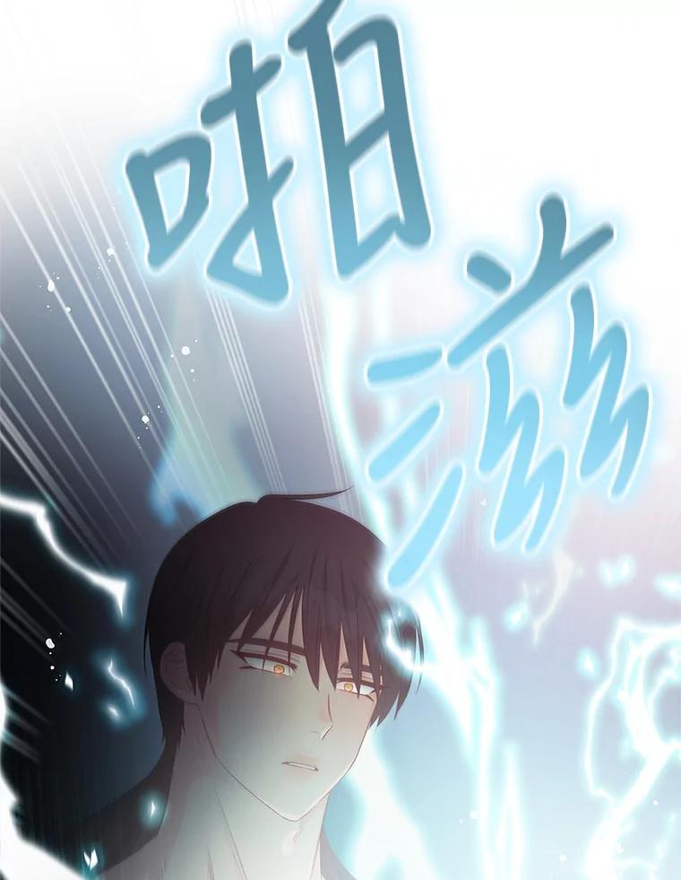 《不要相信那本日记》62.禁林散步 第64页