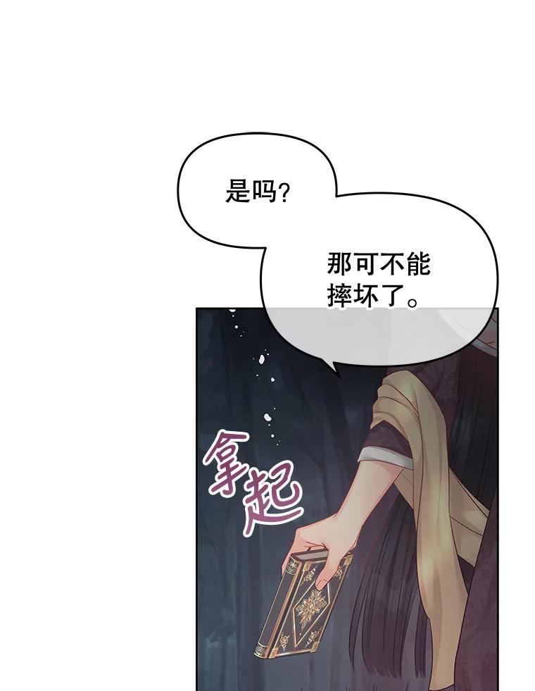 《不要相信那本日记》62.禁林散步 第61页