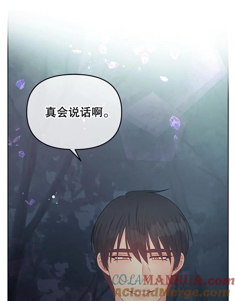 《不要相信那本日记》62.禁林散步 第54页