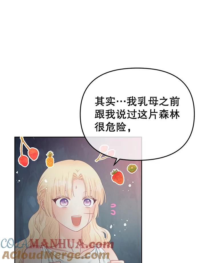 《不要相信那本日记》62.禁林散步 第21页