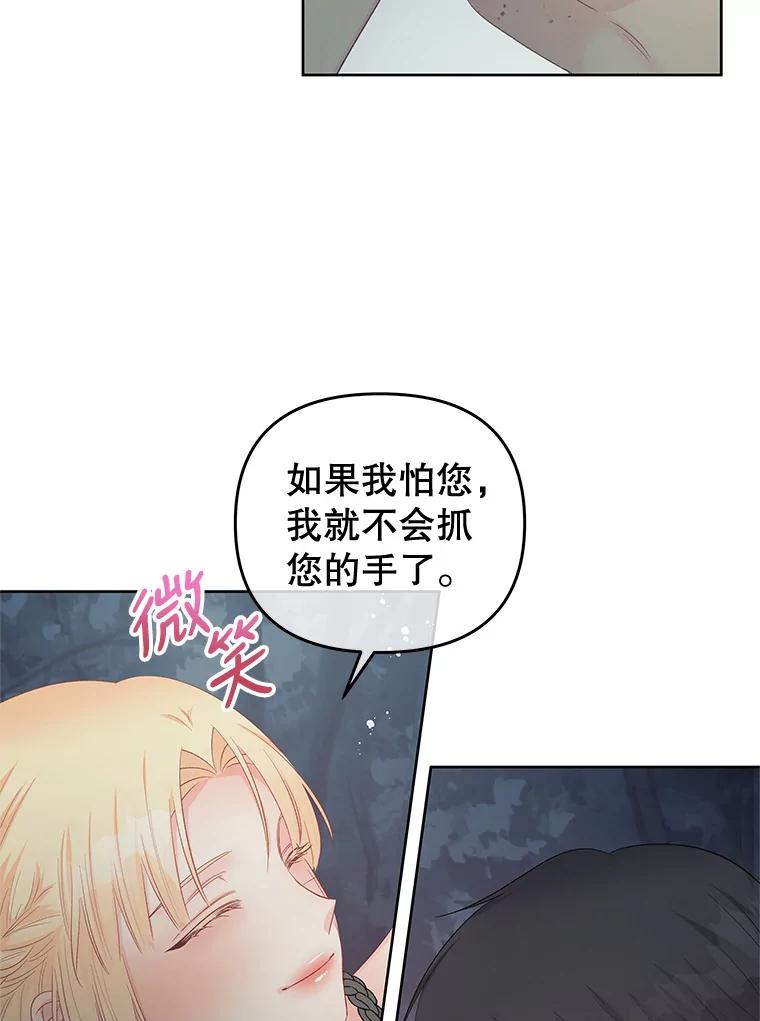 《不要相信那本日记》62.禁林散步 第52页