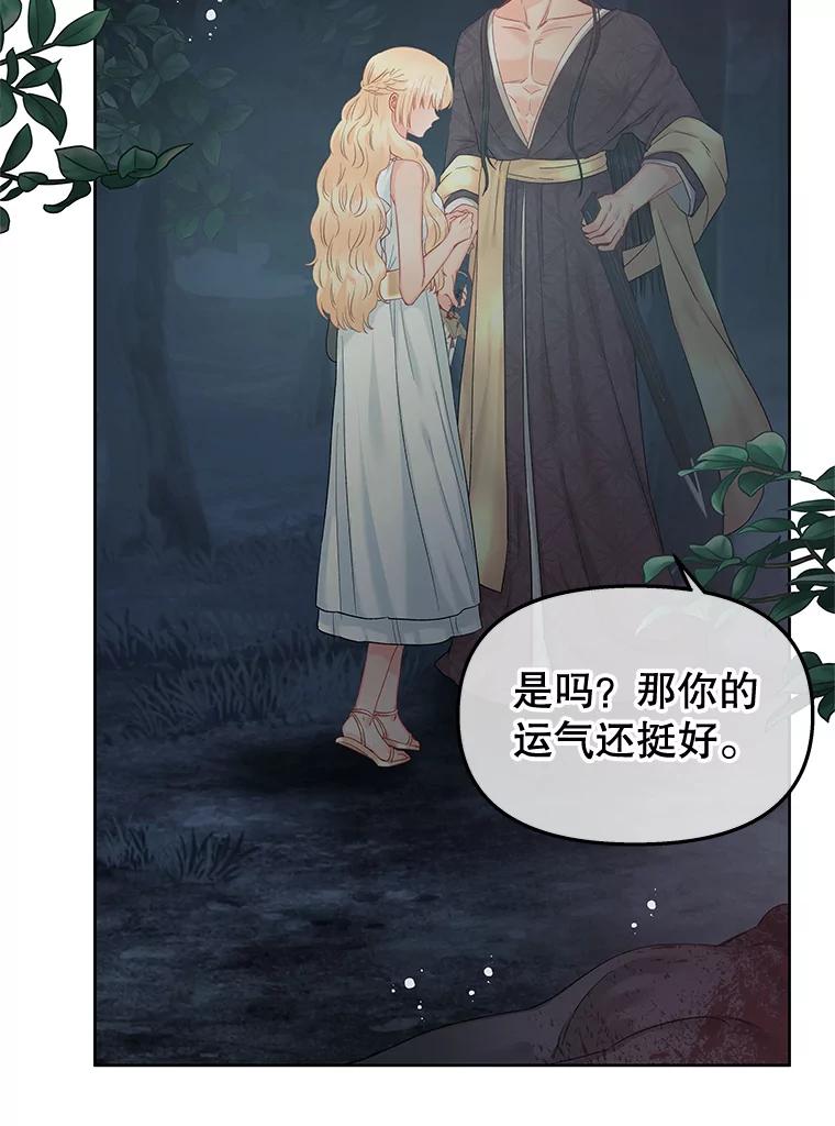 《不要相信那本日记》62.禁林散步 第20页