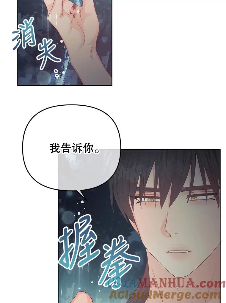 《不要相信那本日记》62.禁林散步 第81页