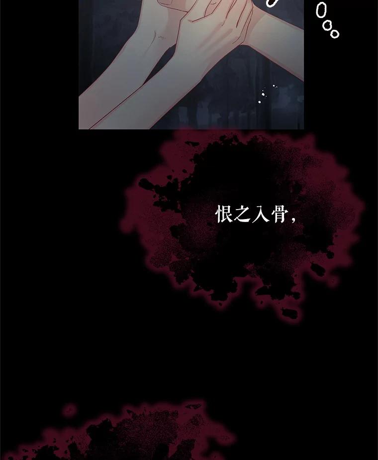 《不要相信那本日记》62.禁林散步 第44页