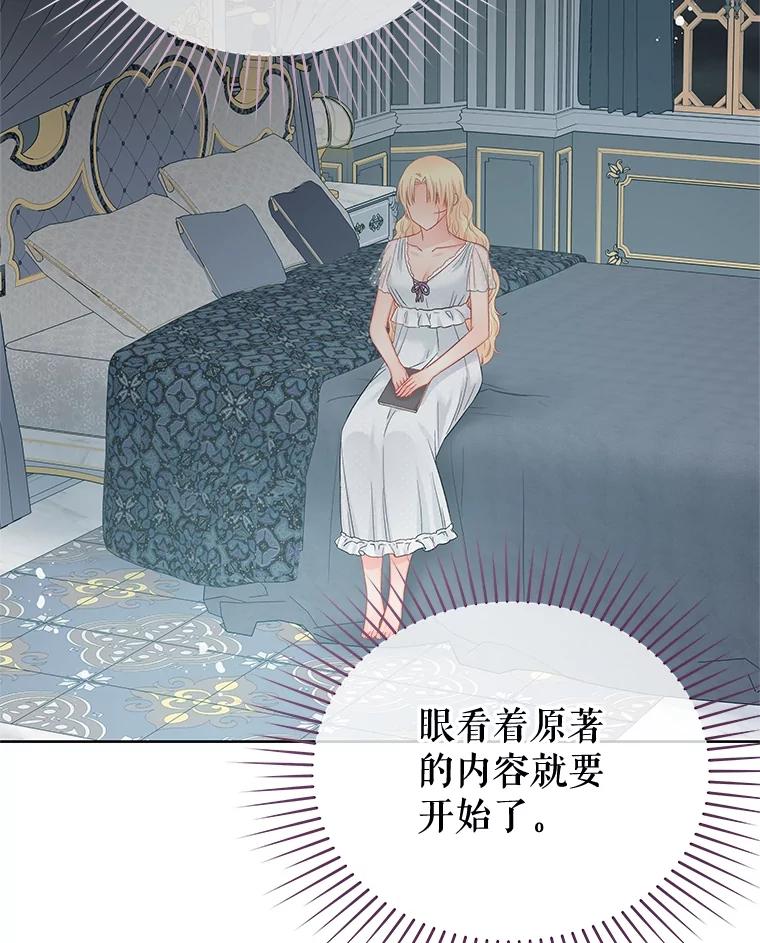 《不要相信那本日记》64.原著的开始 第96页