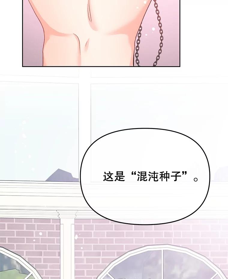 《不要相信那本日记》68.混沌的种子 第5页