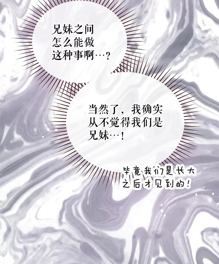 《不要相信那本日记》69.兄妹关系 第67页