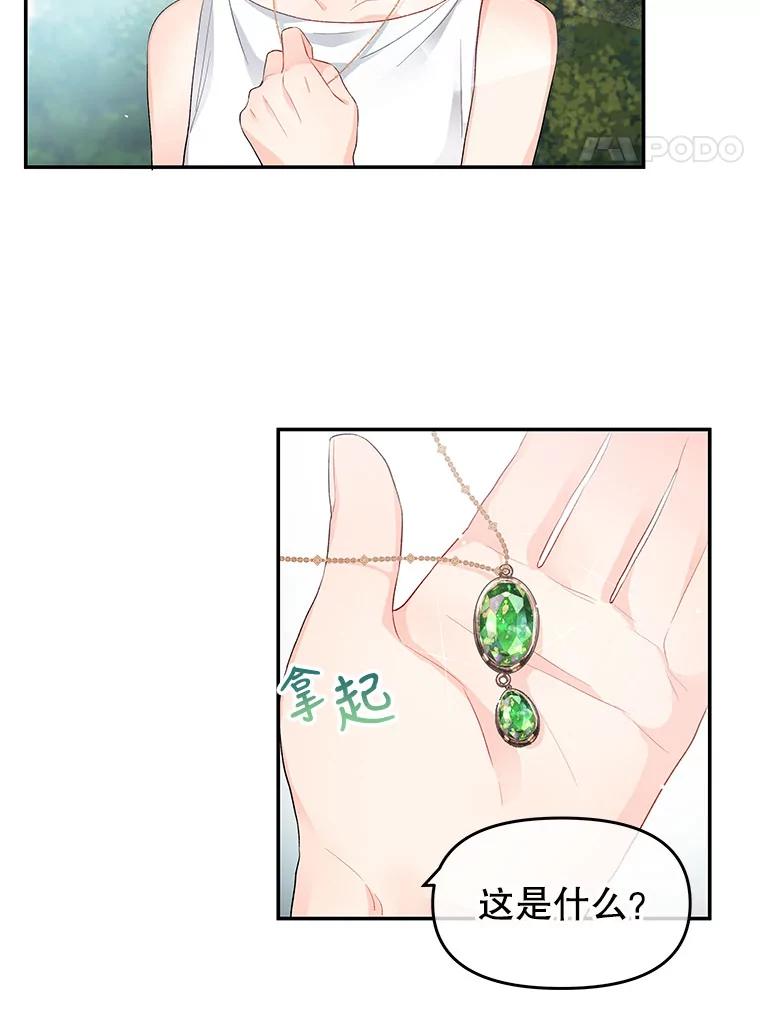 《不要相信那本日记》7.结盟（1） 第41页