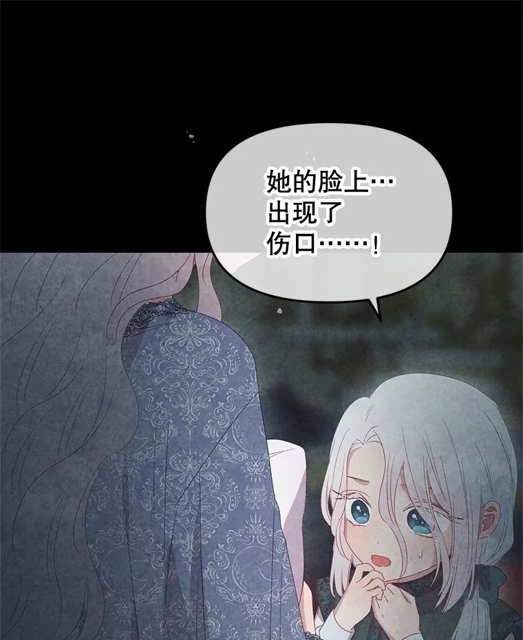 《不要相信那本日记》90.致尊敬的爱人 第67页