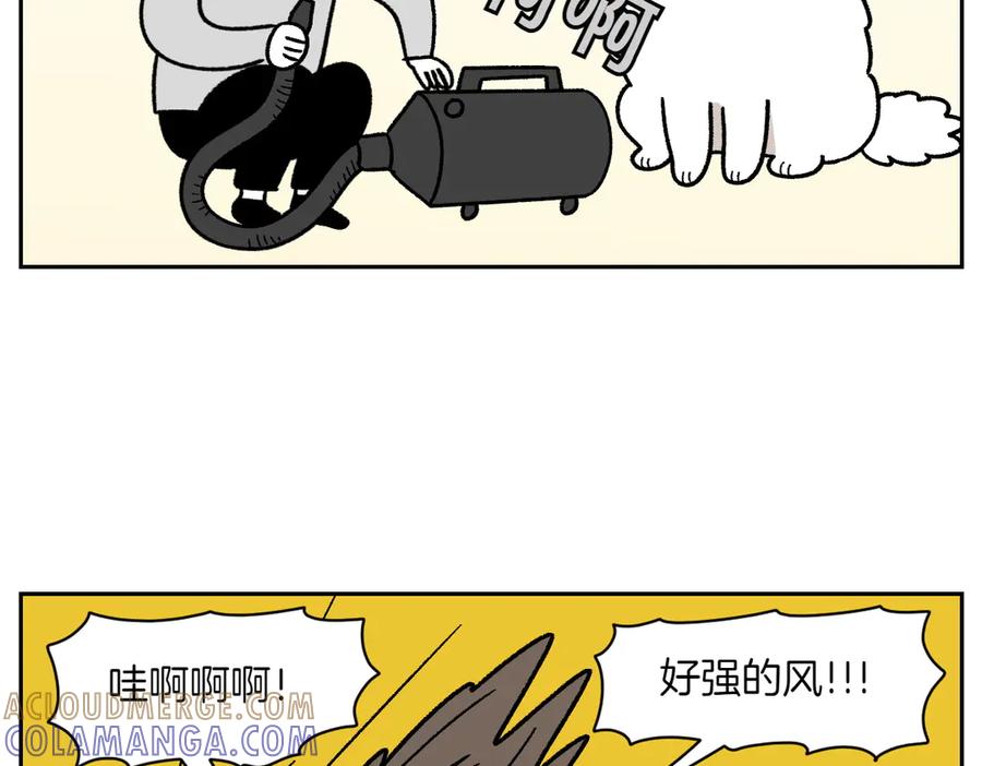 《我的狗子叫棉花》第50话 超强风吹干 第22页