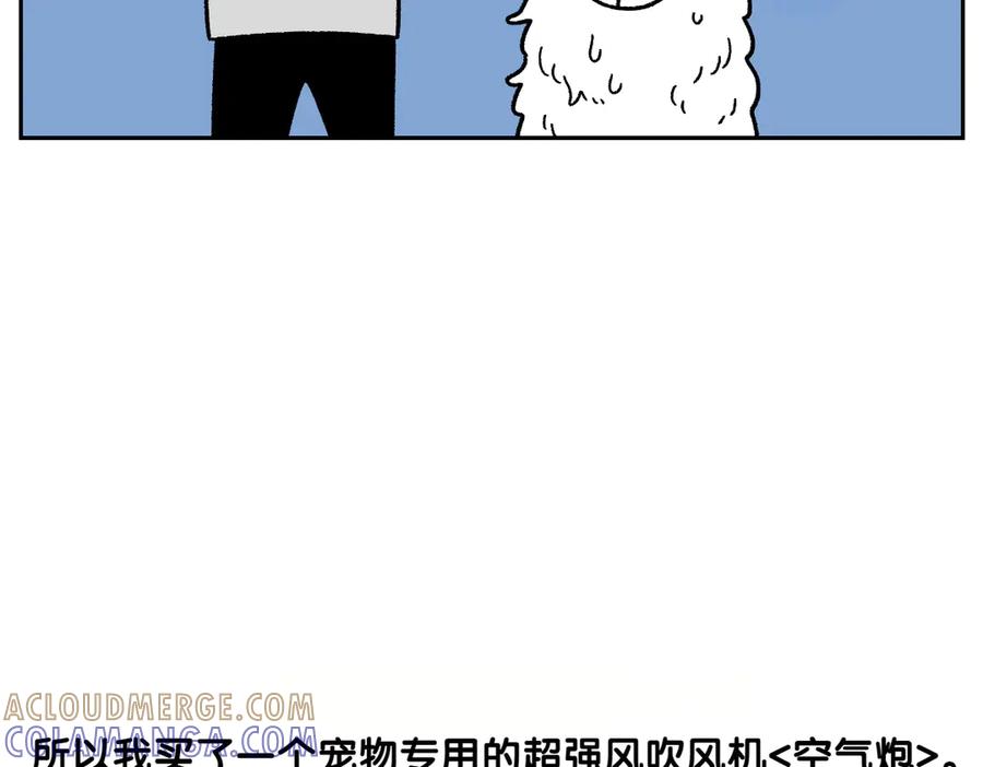 《我的狗子叫棉花》第50话 超强风吹干 第16页