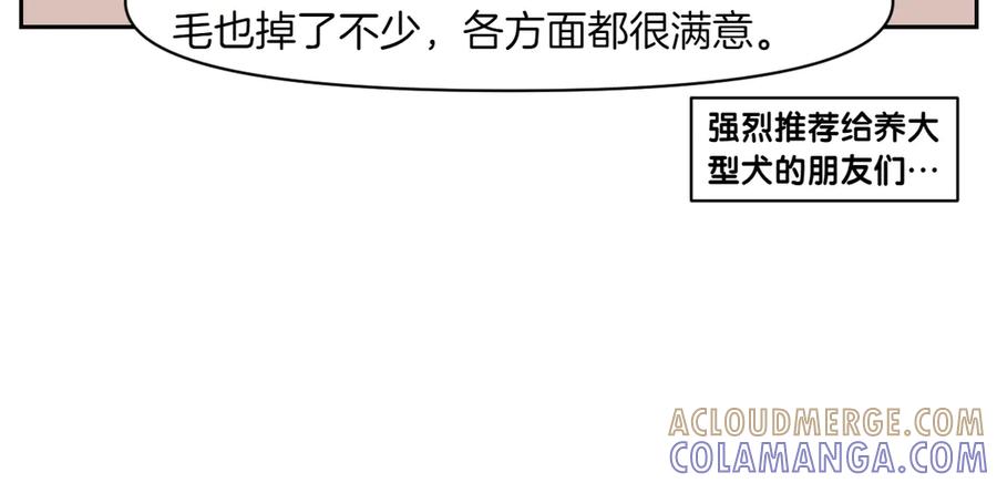 《我的狗子叫棉花》第50话 超强风吹干 第34页