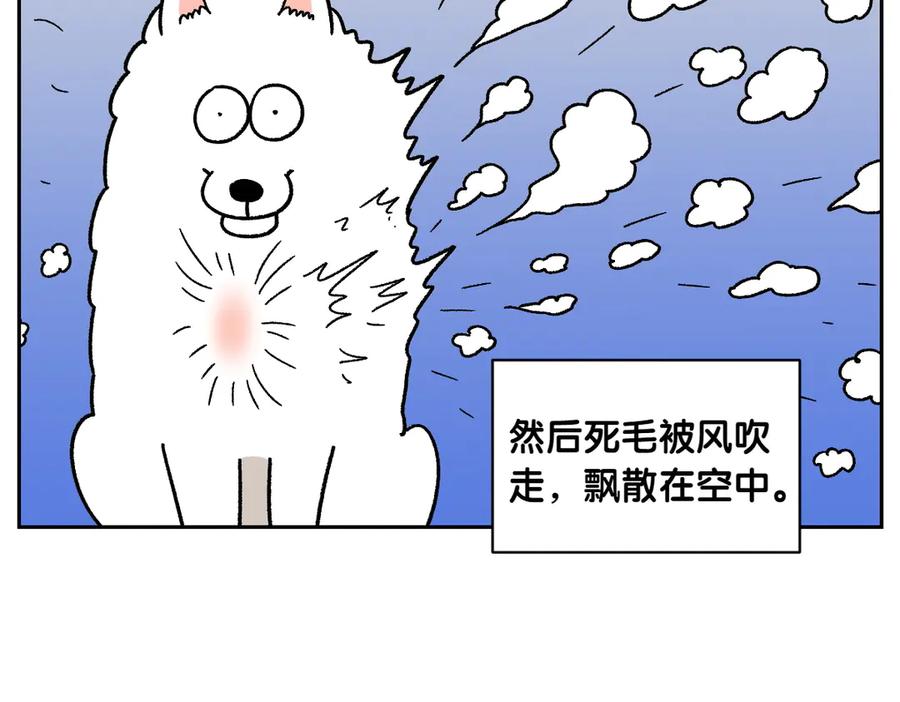 《我的狗子叫棉花》第50话 超强风吹干 第26页