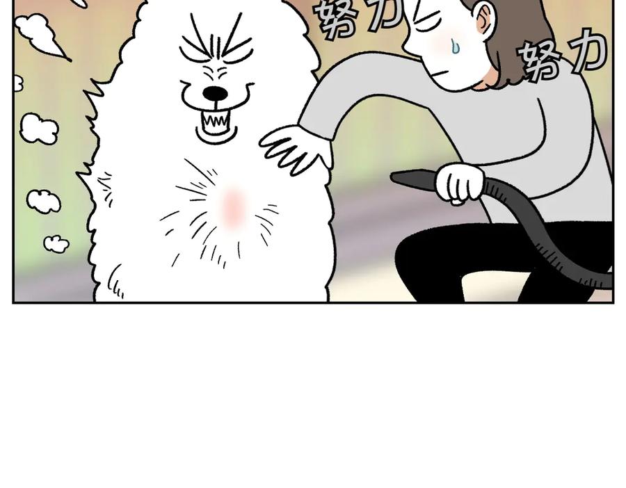 《我的狗子叫棉花》第50话 超强风吹干 第32页