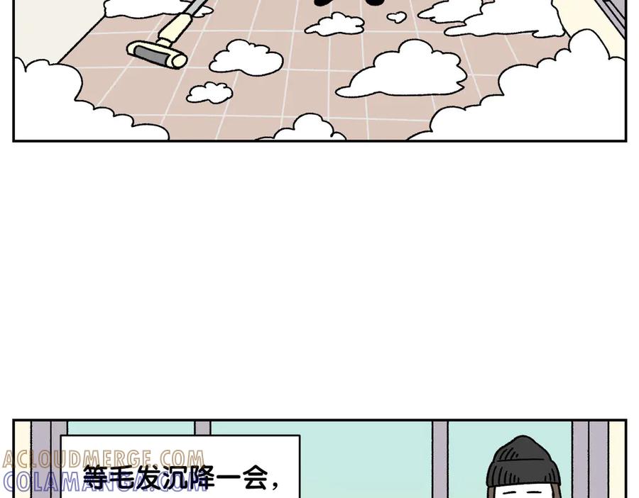 《我的狗子叫棉花》第50话 超强风吹干 第40页