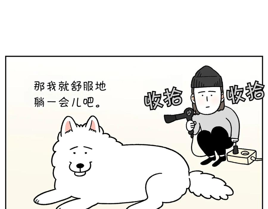 《我的狗子叫棉花》第50话 超强风吹干 第9页