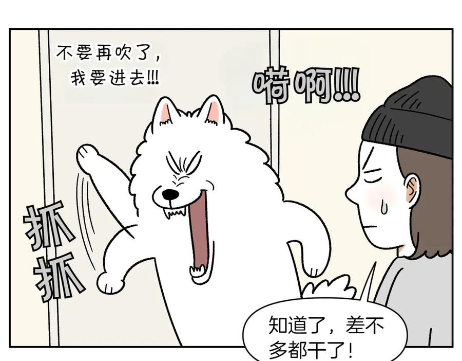 《我的狗子叫棉花》第50话 超强风吹干 第35页